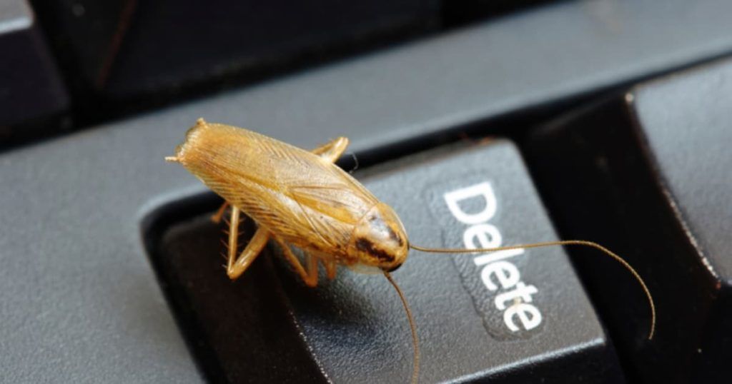 Уничтожение тараканов в офисе в Вологдой